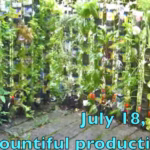 Gardening Tips and Methods