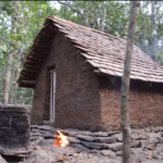 Survival Tips and Tricks